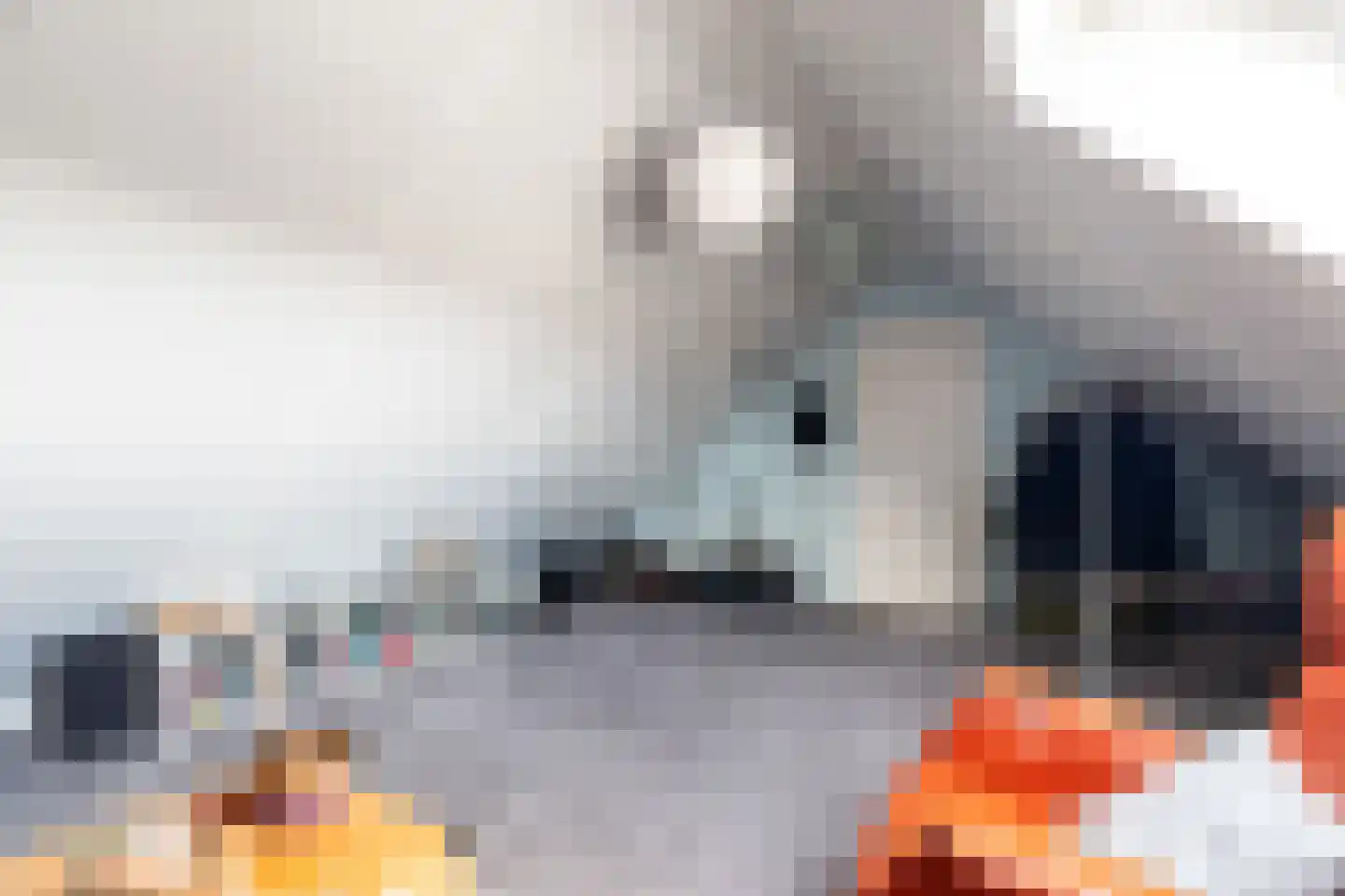 Voorn 120 Hendrik-Ido-Ambacht thumbnail 55