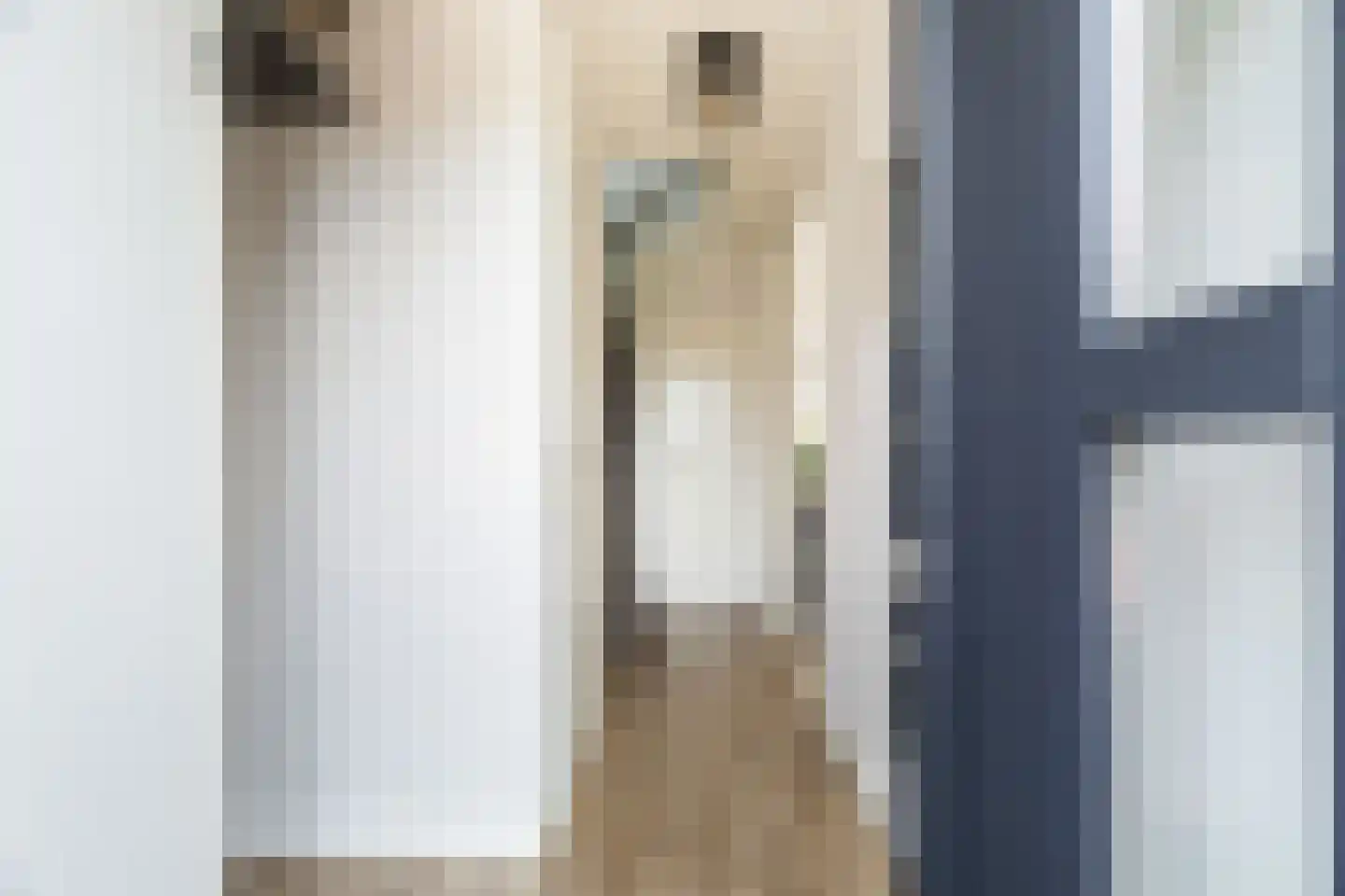 Voorn 120 Hendrik-Ido-Ambacht thumbnail 8