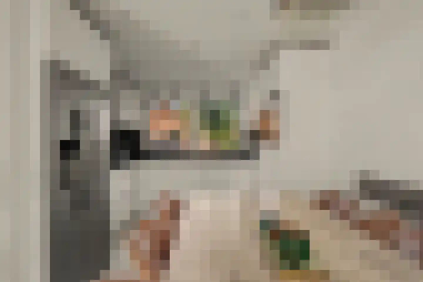 Voorn 27 Ridderkerk thumbnail 10