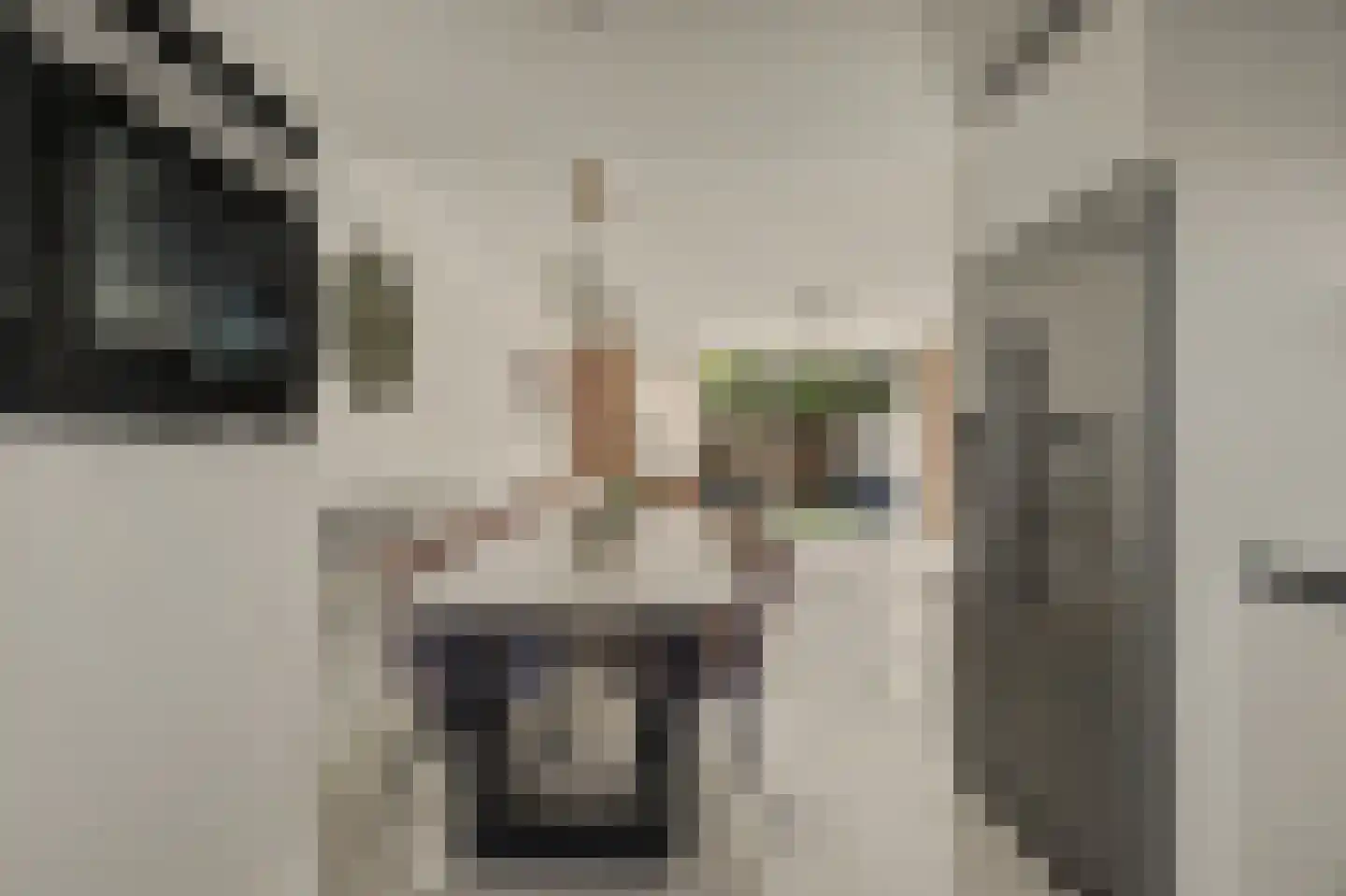 Voorn 27 Ridderkerk thumbnail 12