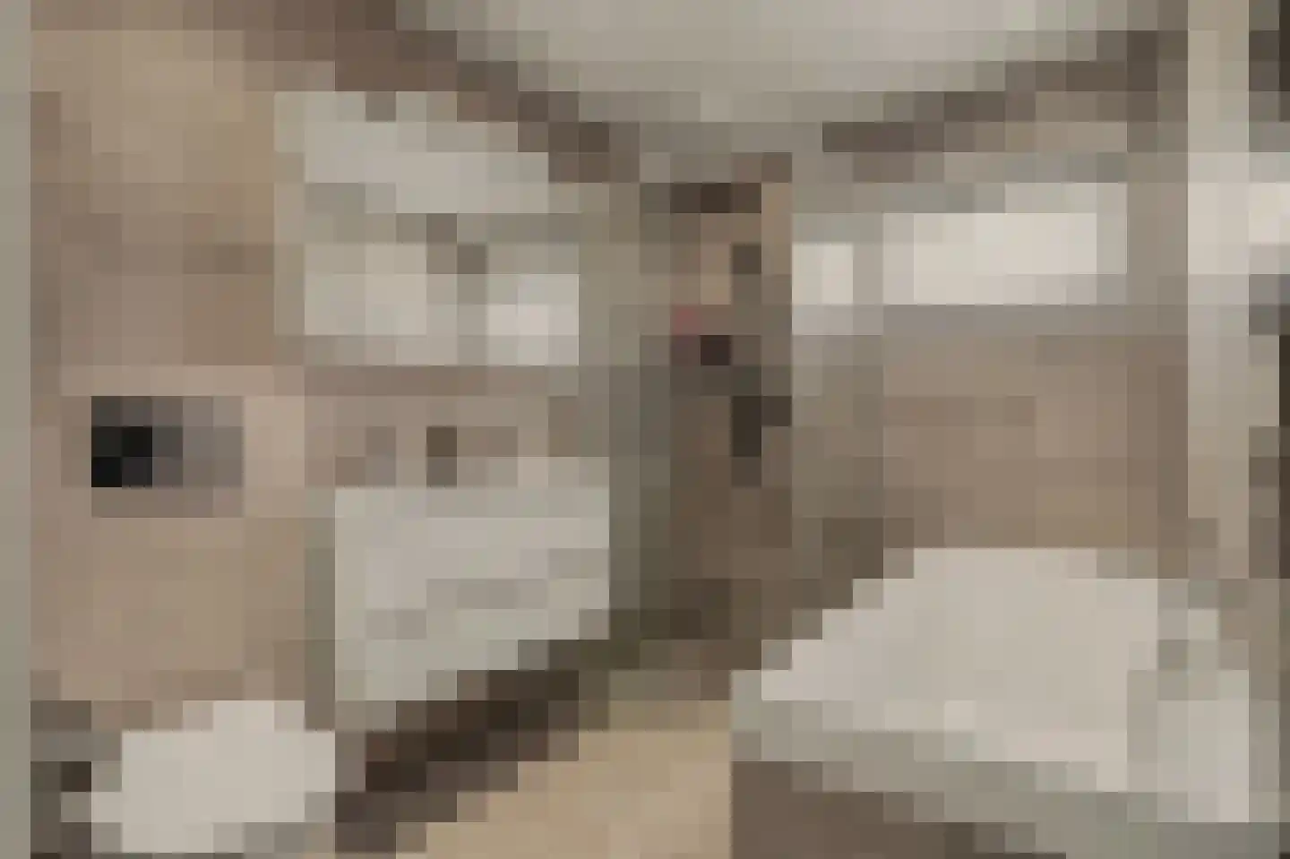 Voorn 27 Ridderkerk thumbnail 22