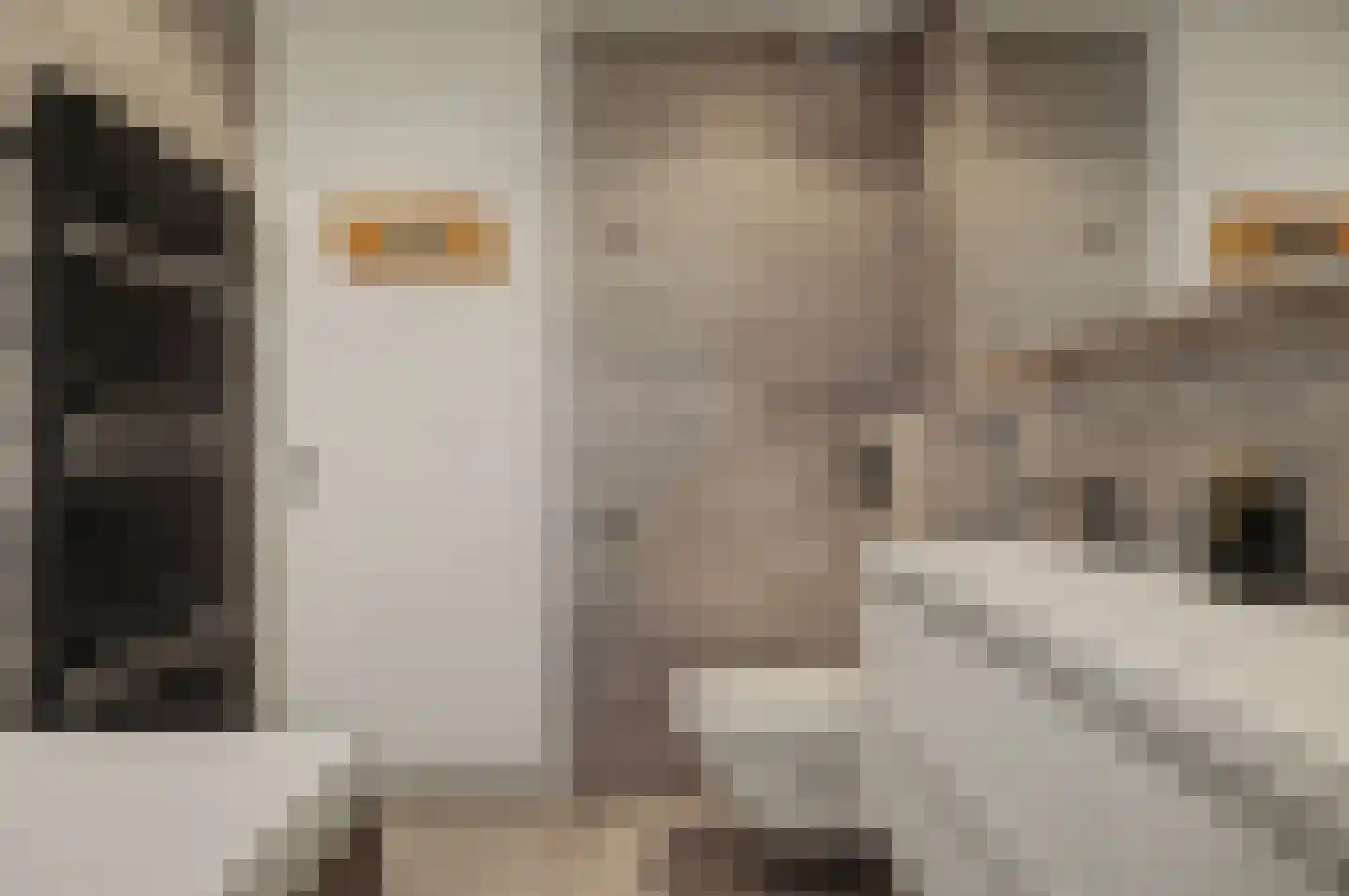 Voorn 27 Ridderkerk thumbnail 23