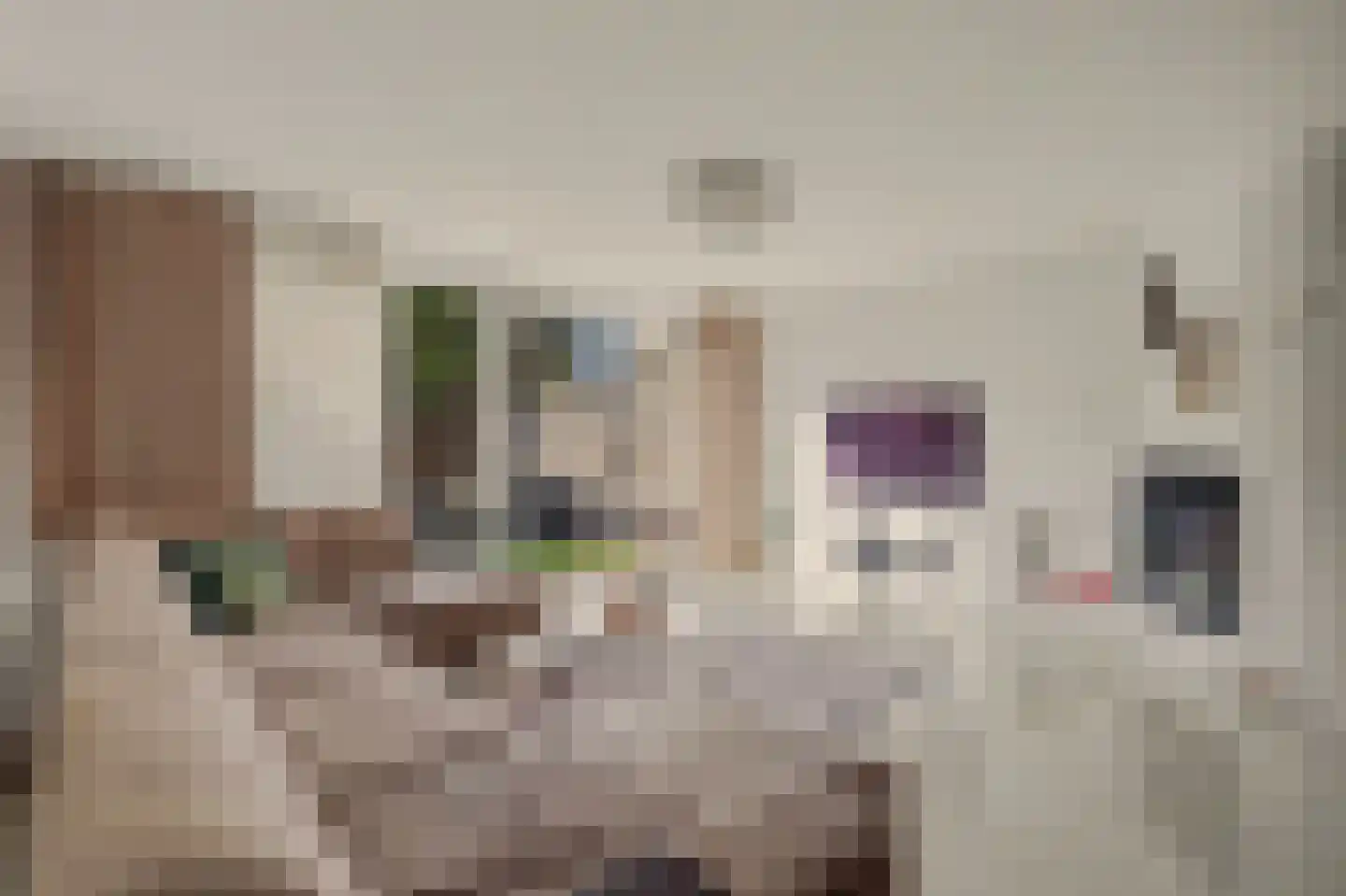 Voorn 27 Ridderkerk thumbnail 8