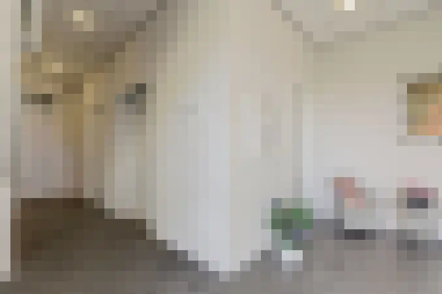 Voorn 59 Ridderkerk thumbnail 10