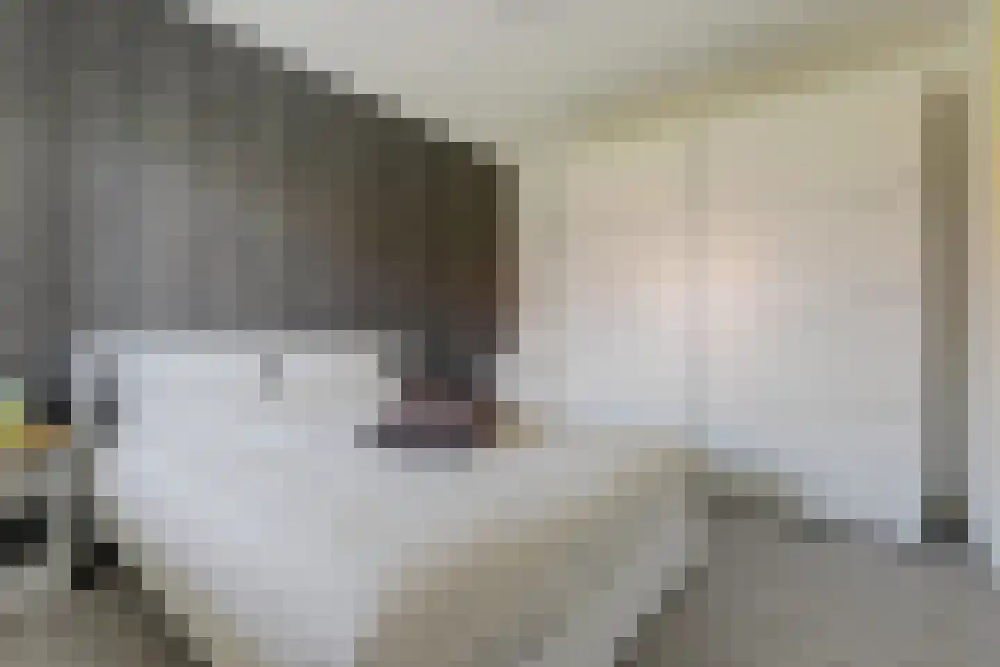 Voorn 59 Ridderkerk thumbnail 25
