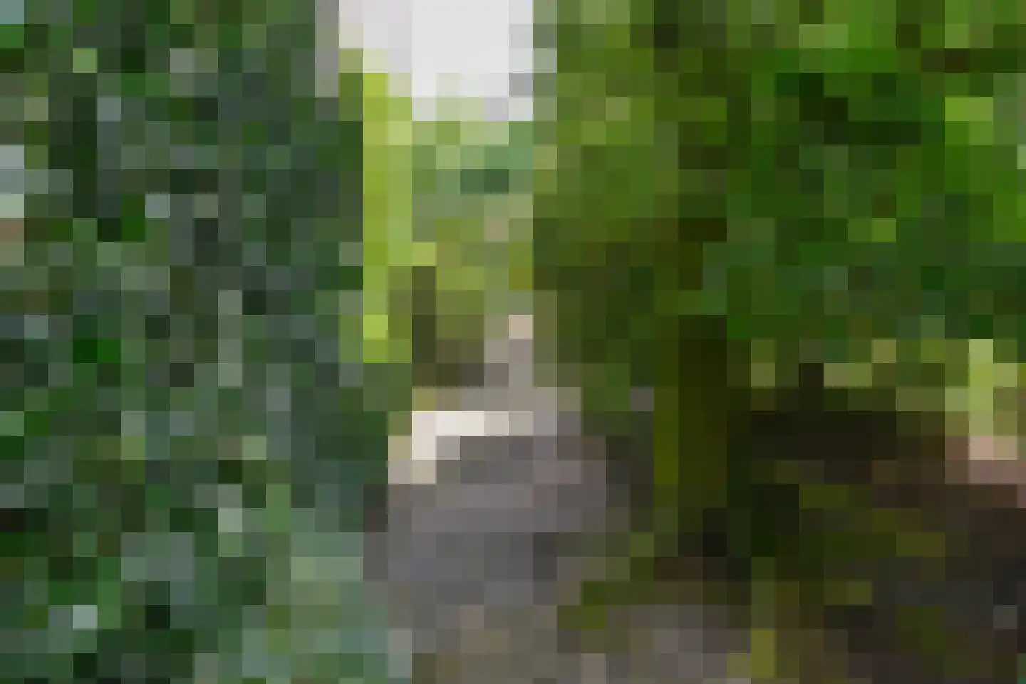 Voorn 7 Huizen thumbnail 22