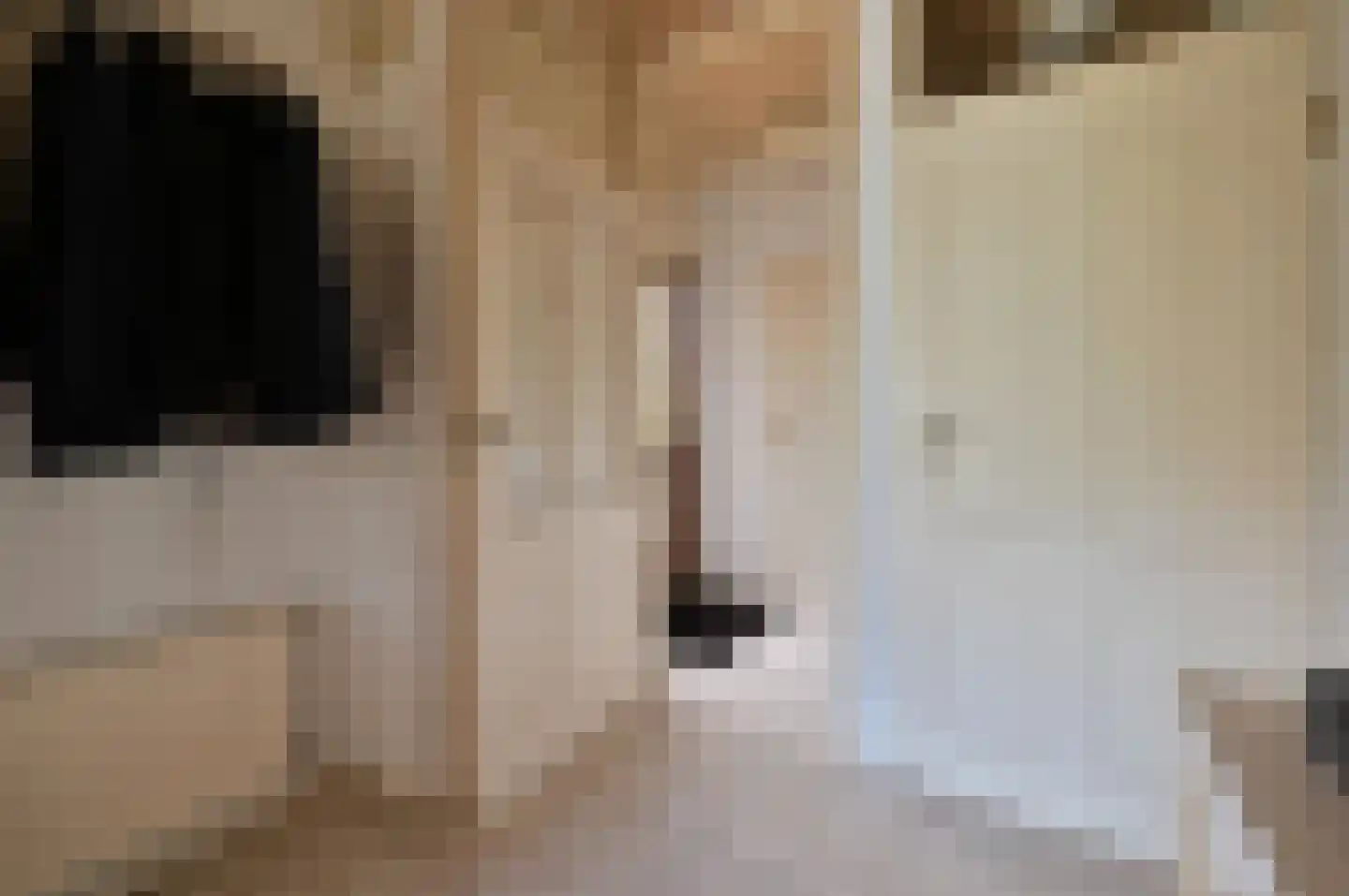 Voorn 7 Huizen thumbnail 8