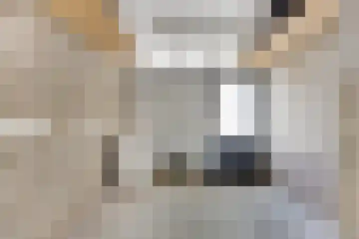 Voorn 8 Oss thumbnail 18
