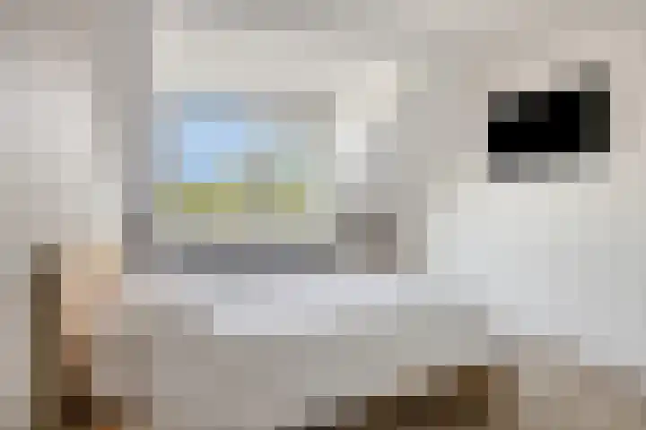 Voorn 8 Oss thumbnail 20