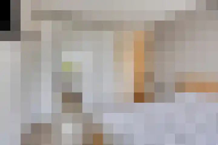 Voorn 8 Oss thumbnail 21