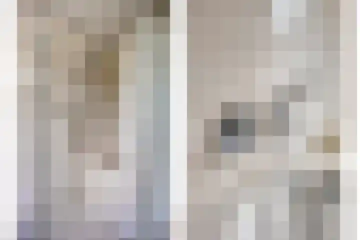 Voorn 8 Oss thumbnail 23