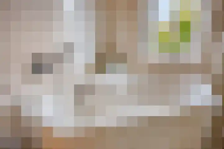 Voorn 8 Oss thumbnail 24