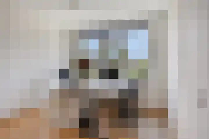 Voorn 8 Oss thumbnail 25