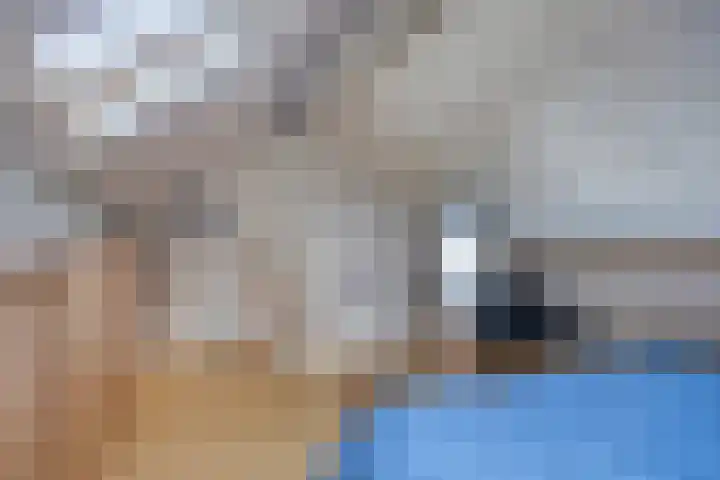 Voorn 8 Oss thumbnail 29