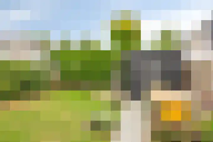 Voorn 8 Oss thumbnail 30