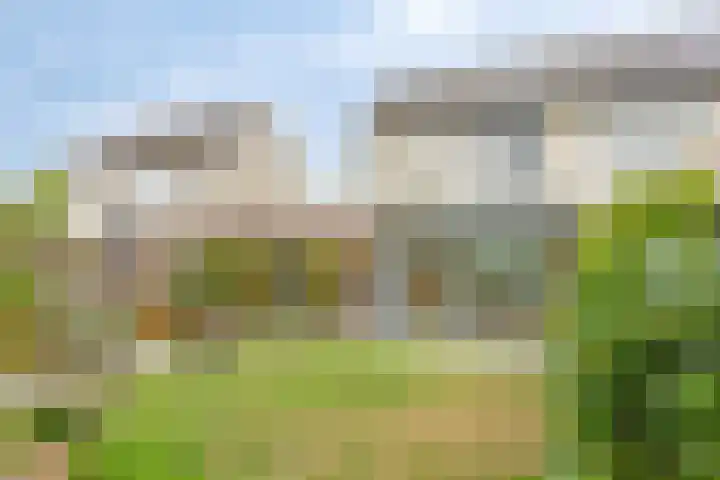 Voorn 8 Oss thumbnail 32