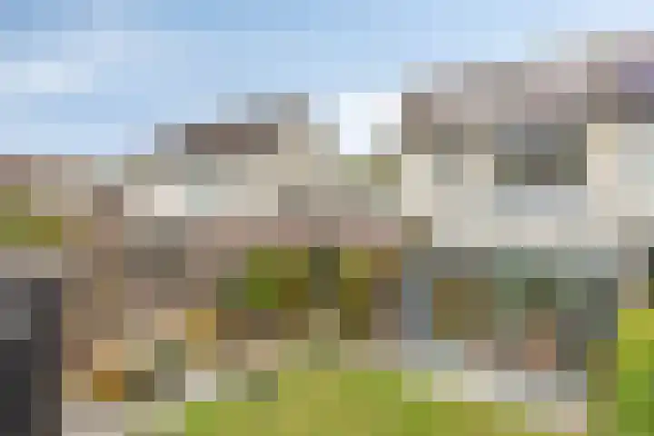 Voorn 8 Oss thumbnail 34