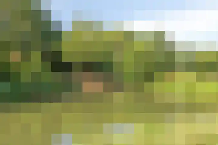 Voorn 8 Oss thumbnail 35