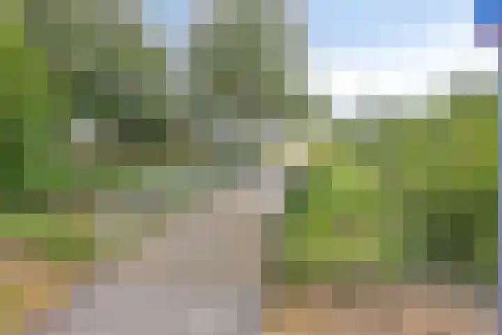 Voorn 8 Oss thumbnail 36