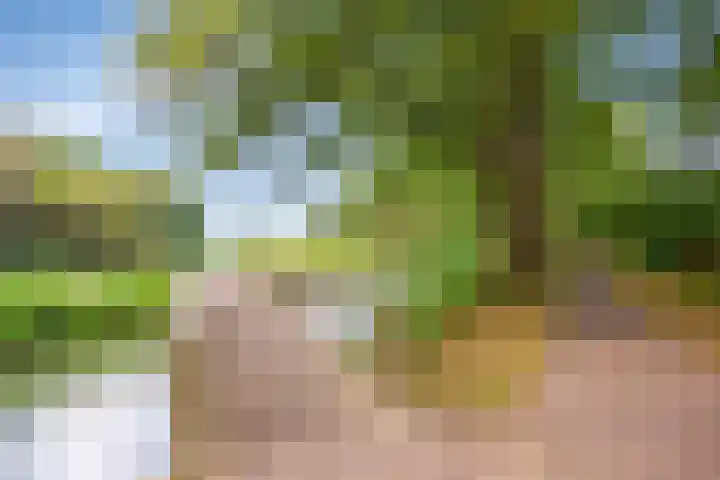 Voorn 8 Oss thumbnail 37