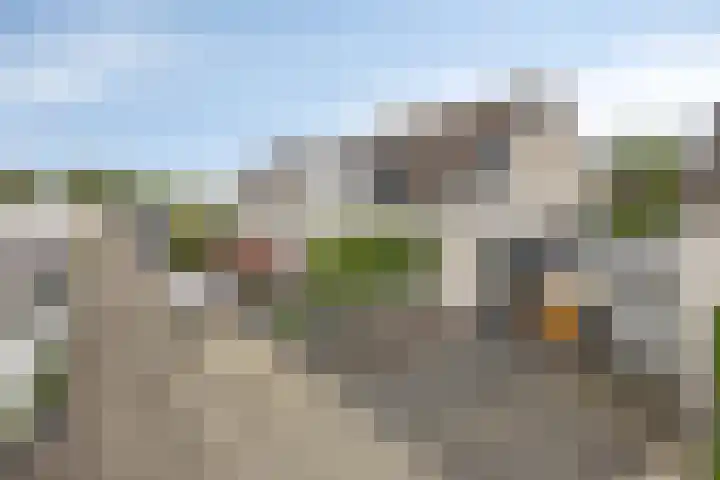 Voorn 8 Oss thumbnail 8