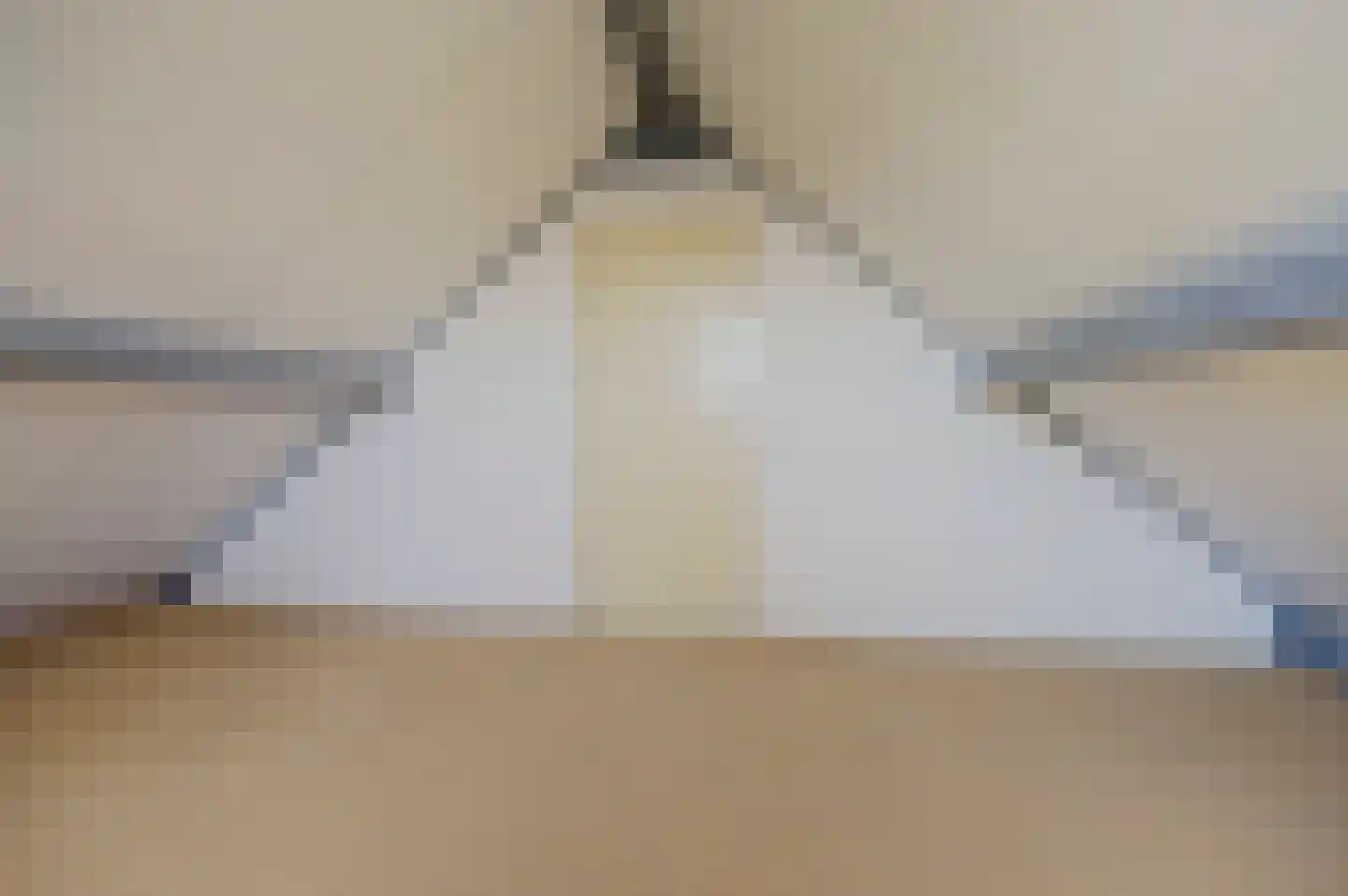 Voorne 12 Emmeloord thumbnail 33