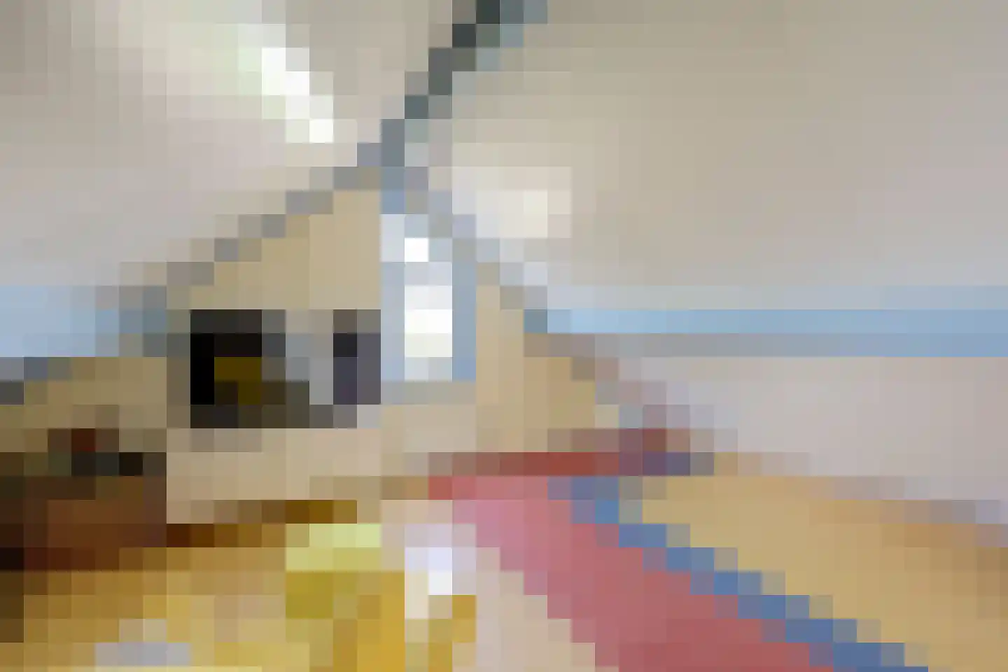 Voorne 12 Emmeloord thumbnail 34
