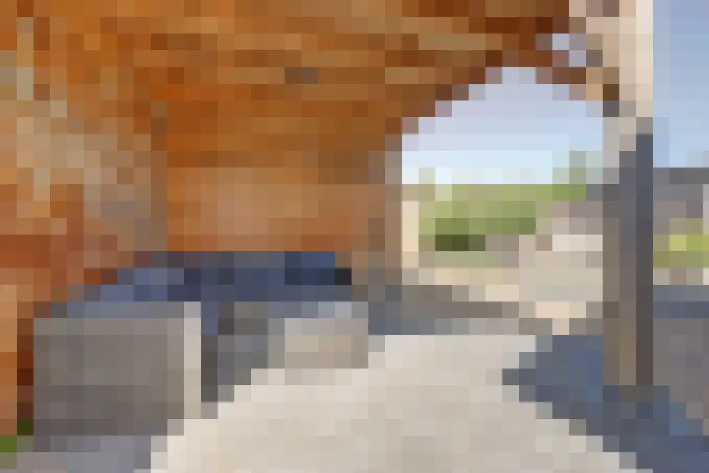 Voorne 12 Emmeloord thumbnail 37
