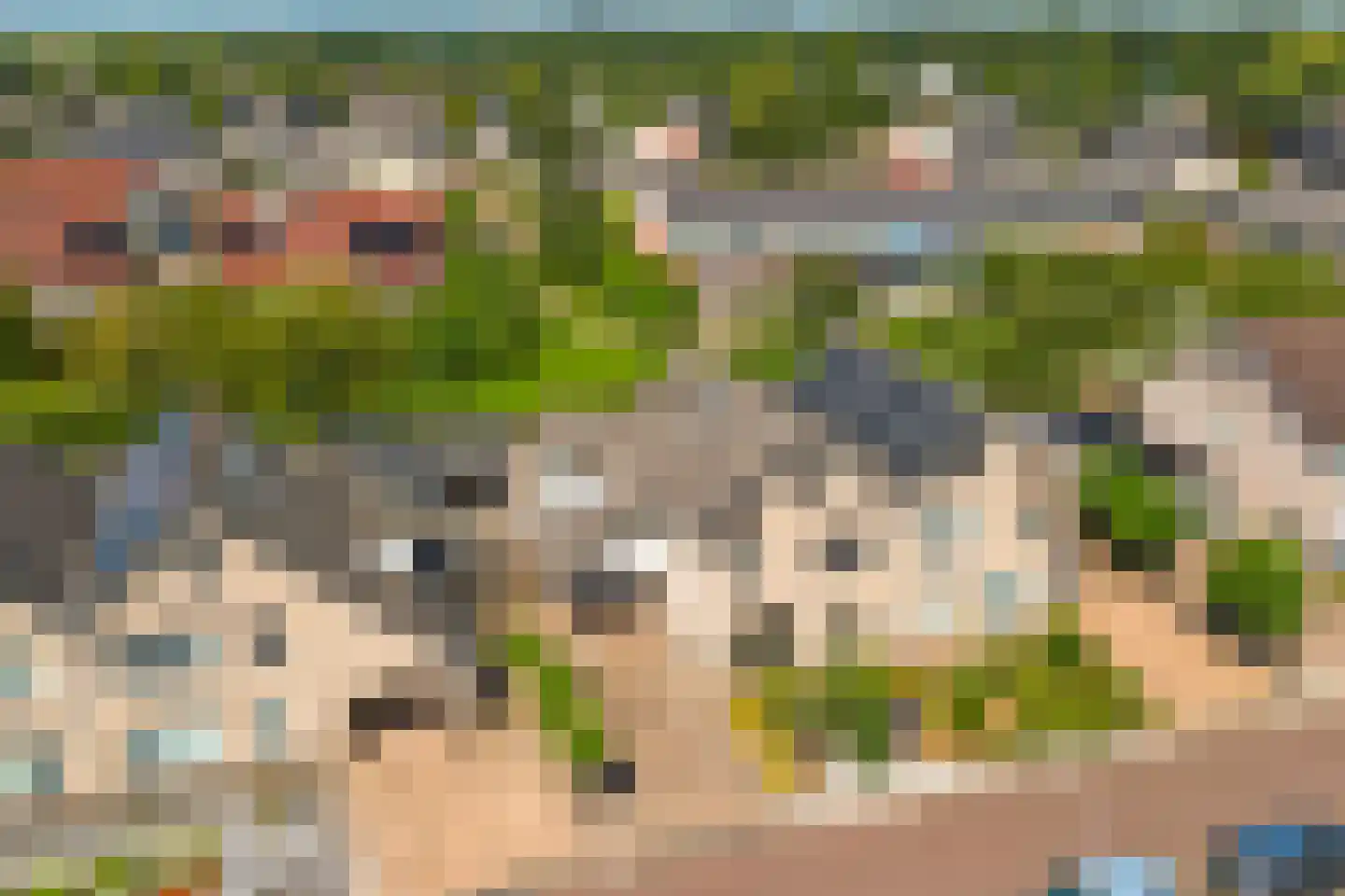 Voorne 12 Emmeloord thumbnail 42