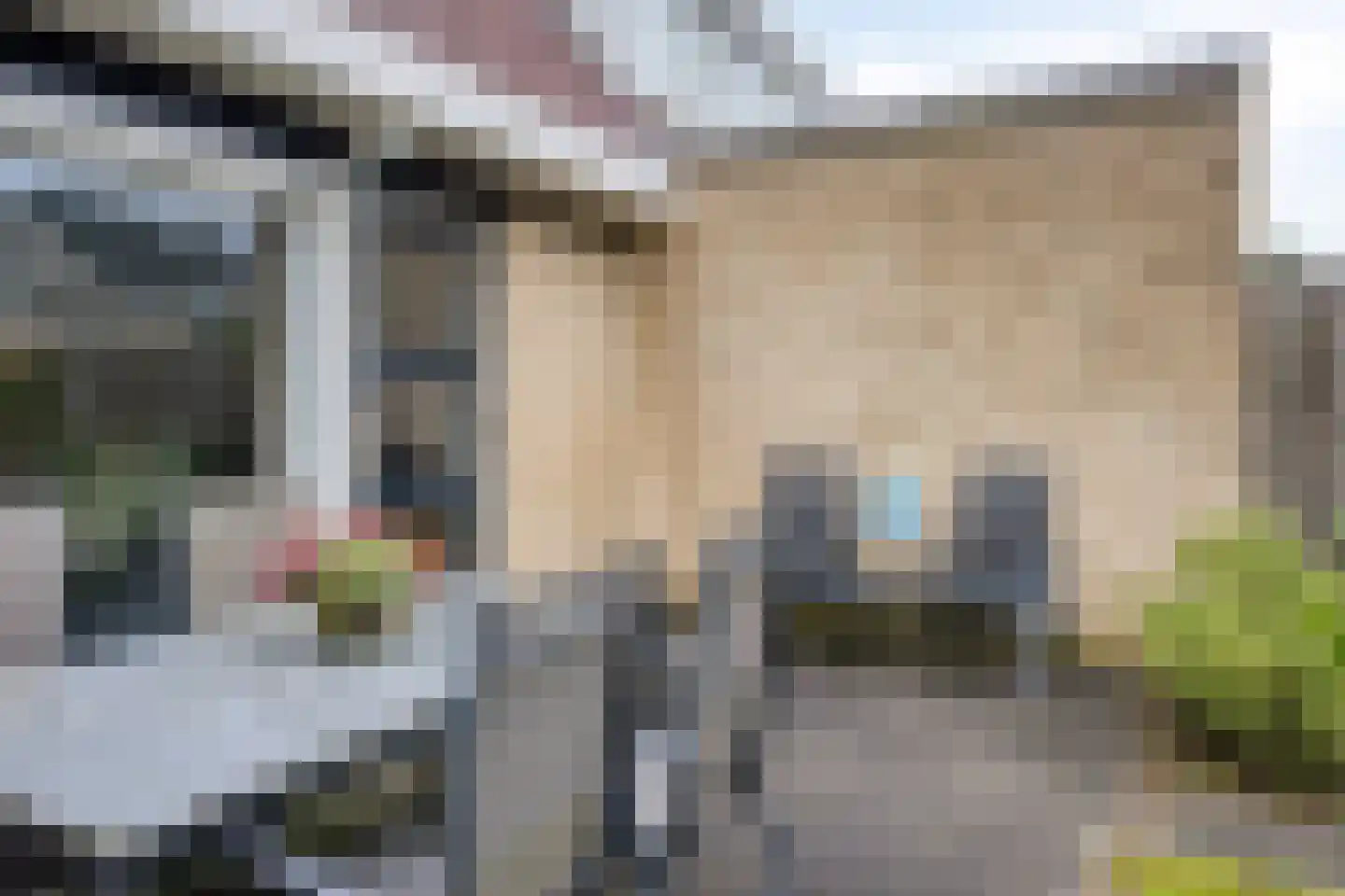 Voorne 17 Emmeloord thumbnail 26