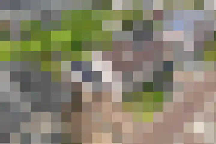 Voorne 8 Emmeloord thumbnail 10