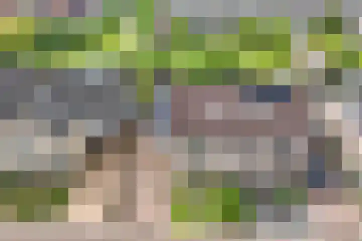 Voorne 8 Emmeloord thumbnail 11