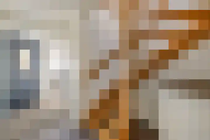 Voorne 8 Emmeloord thumbnail 13