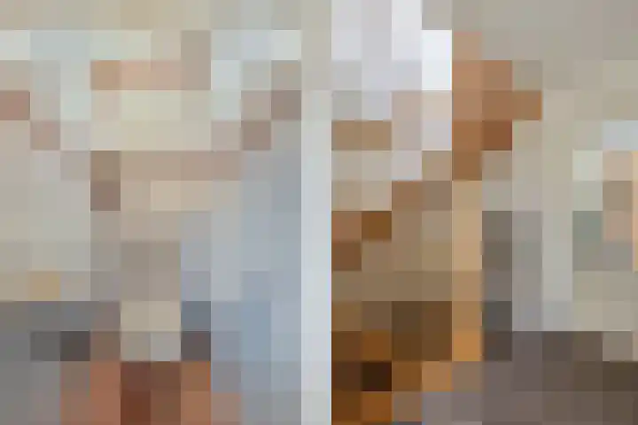 Voorne 8 Emmeloord thumbnail 14