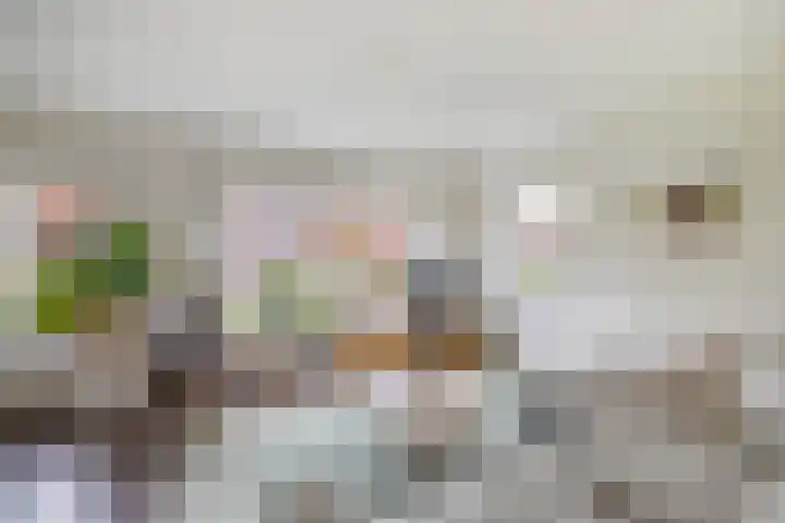 Voorne 8 Emmeloord thumbnail 16