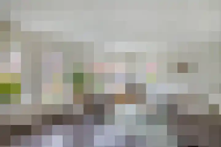Voorne 8 Emmeloord thumbnail 17
