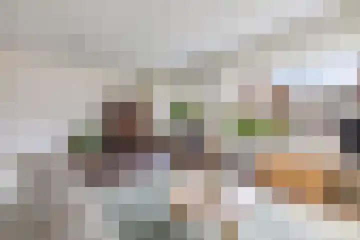 Voorne 8 Emmeloord thumbnail 19