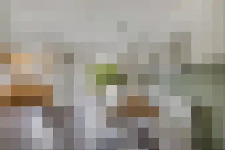 Voorne 8 Emmeloord thumbnail 21