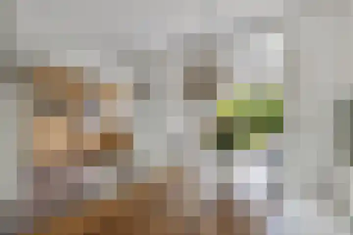 Voorne 8 Emmeloord thumbnail 22