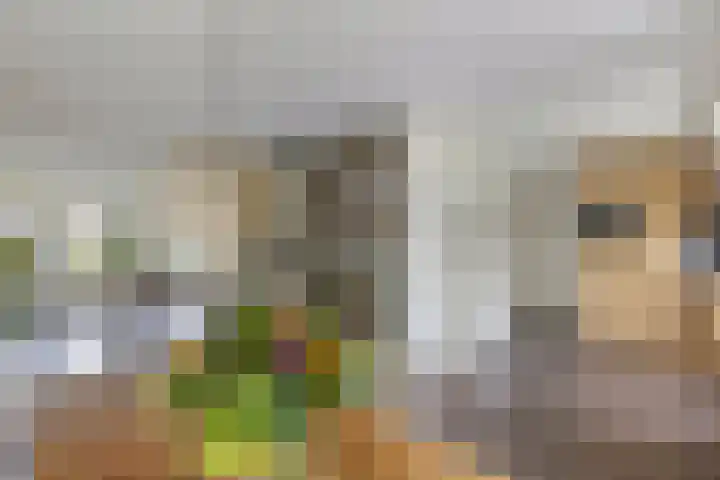 Voorne 8 Emmeloord thumbnail 26