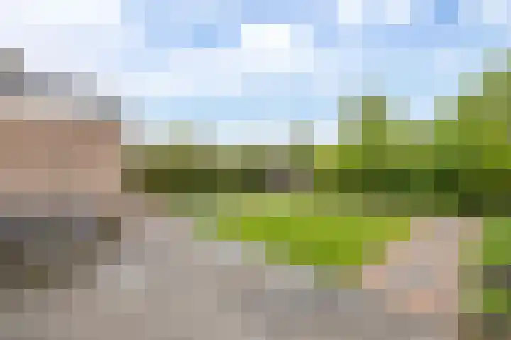 Voorne 8 Emmeloord thumbnail 32