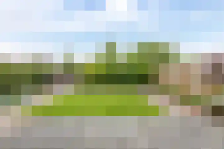 Voorne 8 Emmeloord thumbnail 33