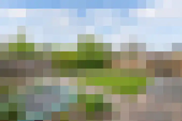 Voorne 8 Emmeloord thumbnail 34