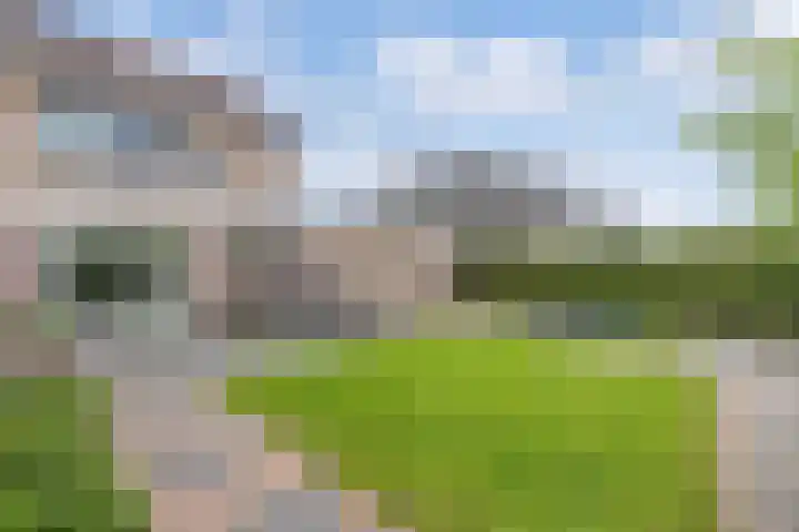 Voorne 8 Emmeloord thumbnail 36