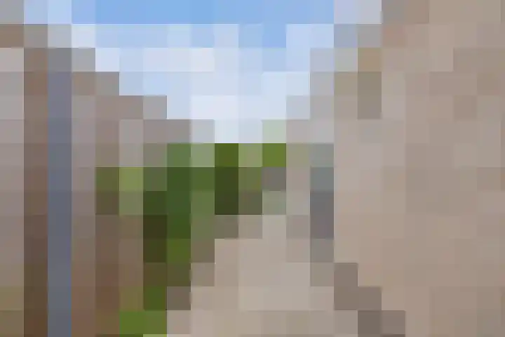 Voorne 8 Emmeloord thumbnail 38