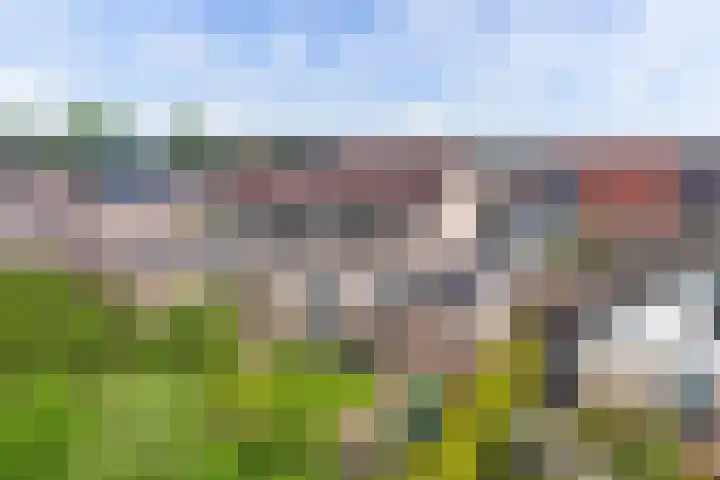 Voorne 8 Emmeloord thumbnail 39