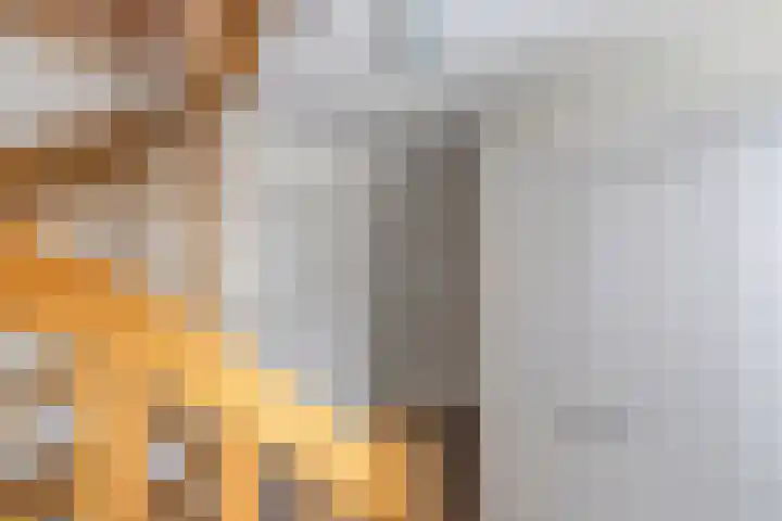 Voorne 8 Emmeloord thumbnail 43