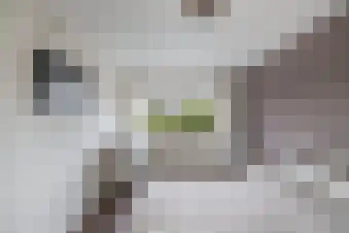 Voorne 8 Emmeloord thumbnail 44
