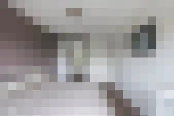 Voorne 8 Emmeloord thumbnail 45