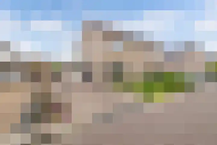 Voorne 8 Emmeloord thumbnail 5
